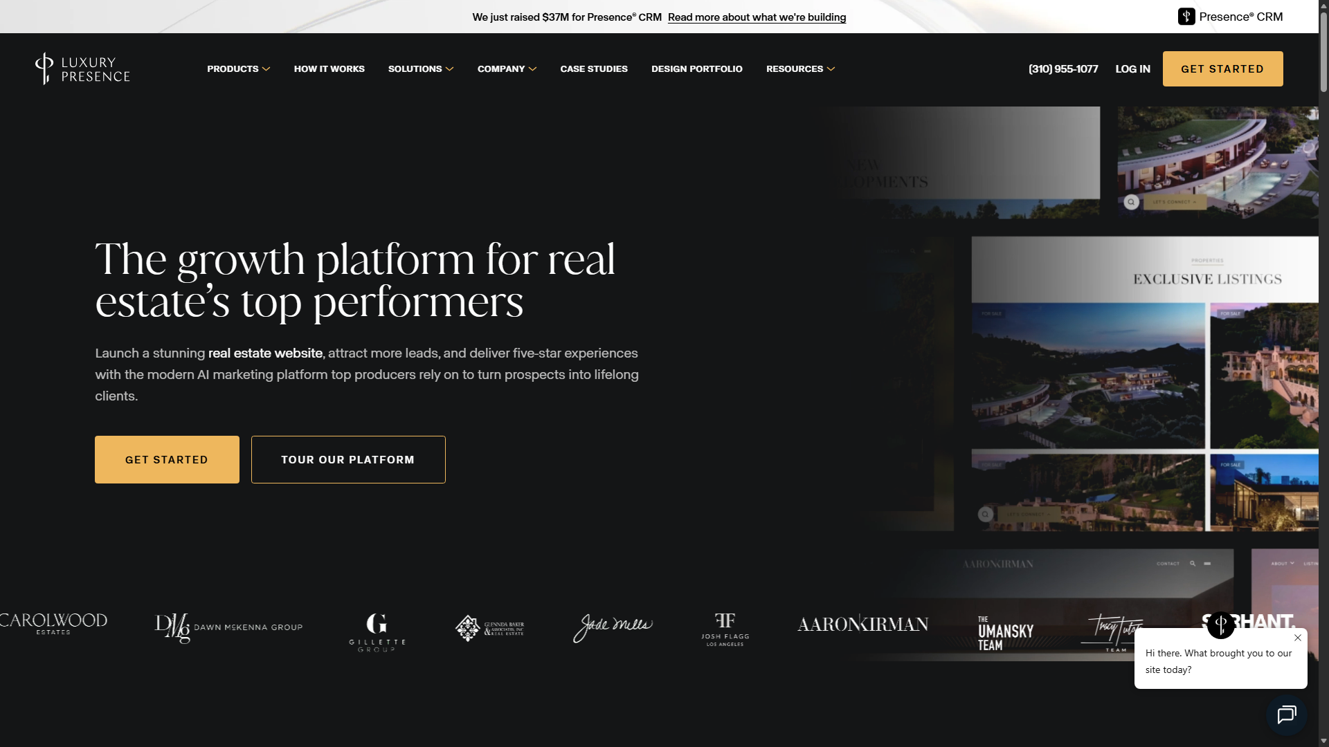 Luxury Presence website preview